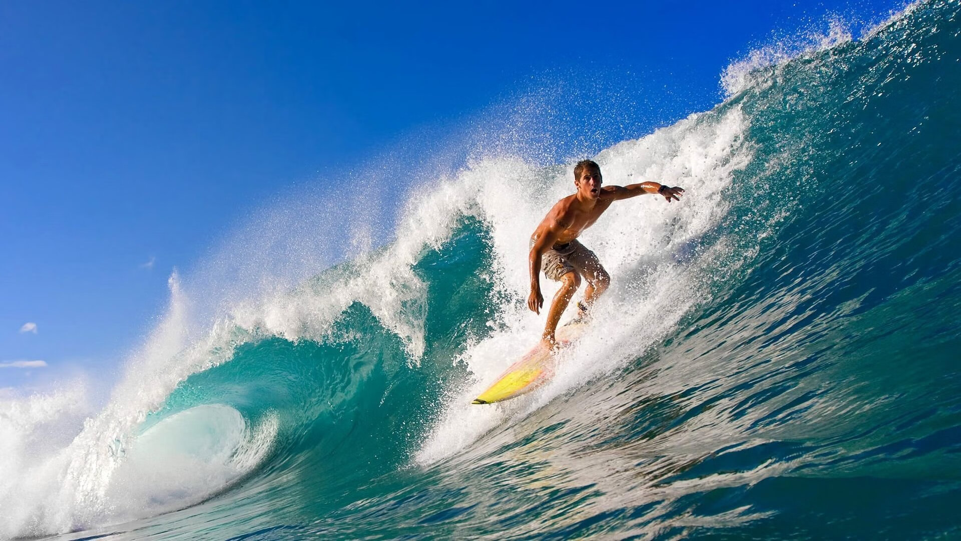 体育新闻中心权威解读专题上线，体育新闻网址大全