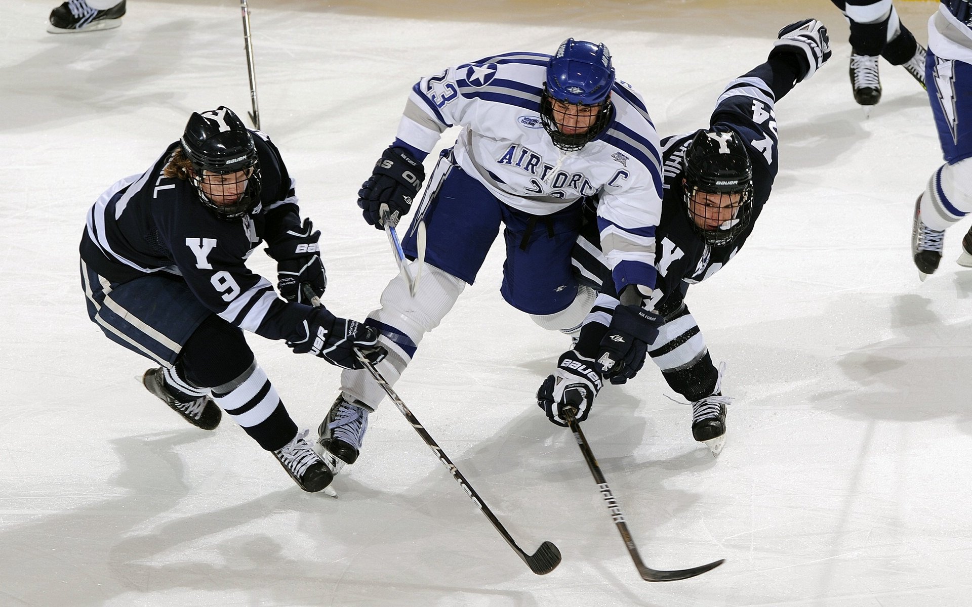 体育新闻中心权威解读专题上线，体育新闻网址大全